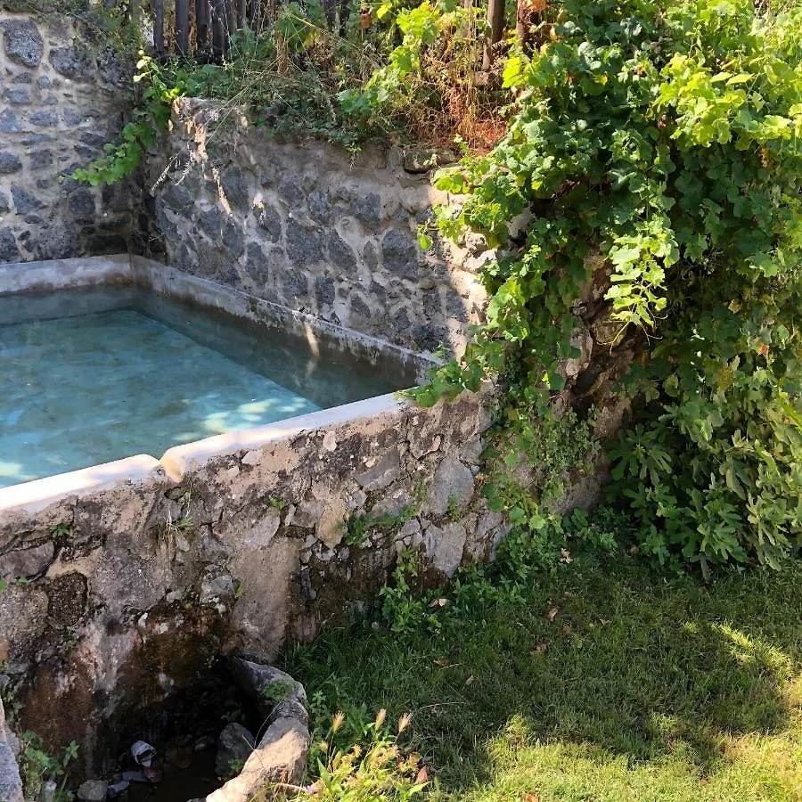 Kır Evi Wild Oasis - Algarve Konuk evi Esgravatadouro