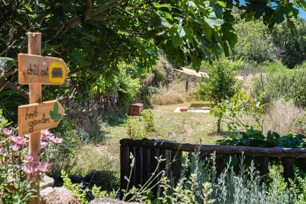 Wild Oasis - Algarve Konuk evi Esgravatadouro Kır Evi