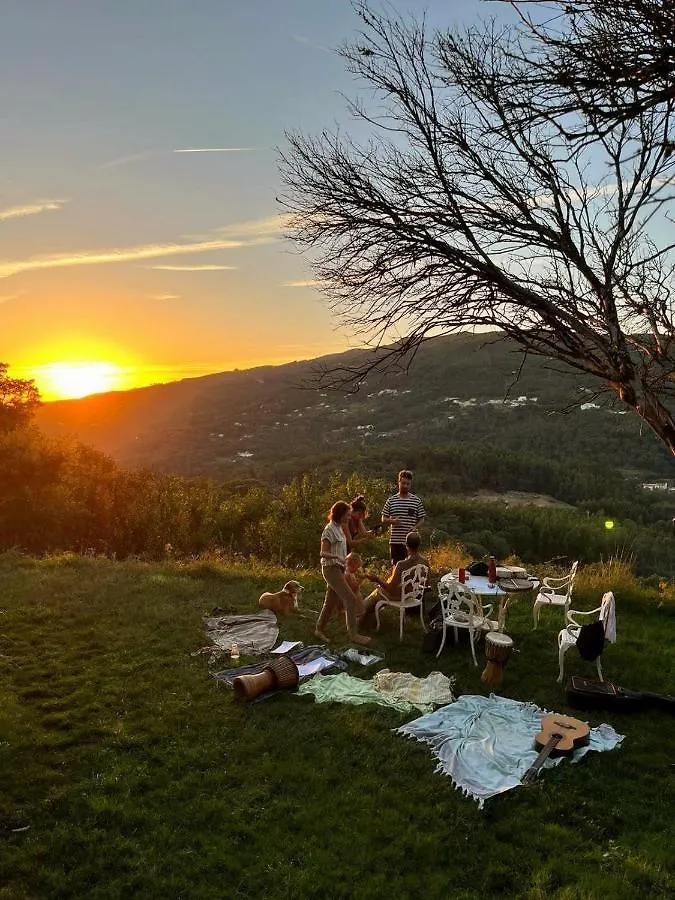Wild Oasis - Algarve Konuk evi Esgravatadouro Kır Evi